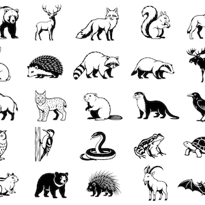 May include: A collection of twenty-five black and white vector illustrations featuring various wildlife animals including a bear, deer, fox, squirrel, wolf, rabbit, hedgehog, raccoon, badger, moose, boar, lynx, beaver, otter, crow, owl, woodpecker, snake, frog, turtle, chipmunk, porcupine, goat, and bat.