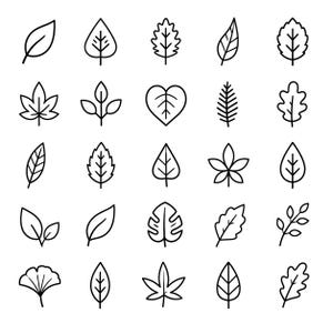 Minimal Leaf Outline SVG Icons Bundle – 25 Distinct Botanical Line Art Designs, Pure Black Contour Collection, White Background, Cricut