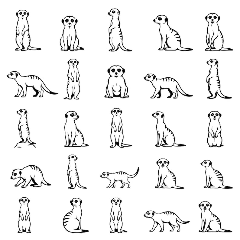 Meerkat SVG Icons Bundle – 25 Distinct Safari Animal Designs, Pure ...