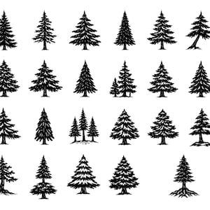 May include: A collection of twenty-one black and white illustrations of various evergreen trees. The trees vary in shape and size, with detailed depictions of branches and needles. Some trees are solitary, while others are grouped together.