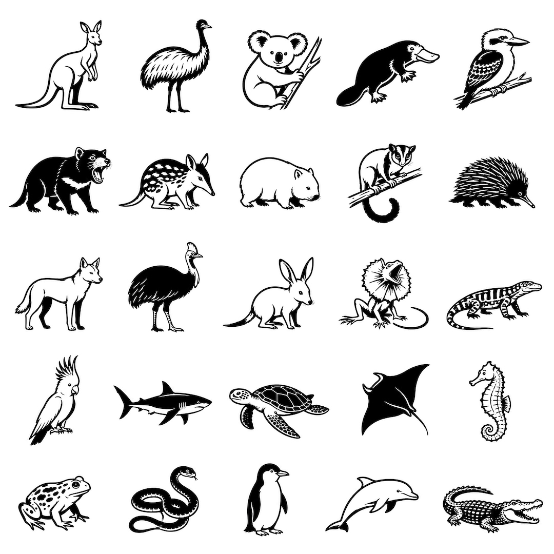 Australian Animals SVG Bundle – 25 Distinct Native Wildlife Outline ...