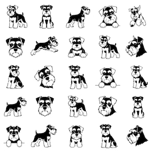 Pode incluir: Uma coleção de vinte e cinco ilustrações gráficas em preto e branco de cães Schnauzer em várias poses, incluindo sentados, em pé, correndo e retratos de cabeça, exibindo suas barbas distintas e orelhas eretas.