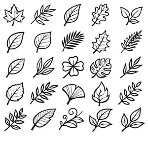 Löv SVG-paket – 25 unika botaniska bladkonturikoner, fet svart linjekonst, ren vit bakgrund, naturinspirerad clipart
