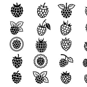 May include: A collection of twenty-five distinct black and white graphic icons of raspberries. Each icon depicts a raspberry in various orientations, some with leaves and stems, others enclosed in circular or scalloped borders, all in a flat style.