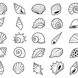 May include: A collection of twenty-five distinct black and white line art illustrations of various seashells. The set includes spiral, fan-shaped, conical, and spiky shell designs, each rendered with clean outlines and minimal shading details.