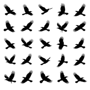 May include: A collection of twenty-five black silhouettes of birds in various flight positions arranged in a five-by-five grid. Each individual bird graphic displays a unique wing span and angle, showcasing different stages of flight movement.