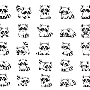 Può includere: Una collezione di venticinque illustrazioni in bianco e nero di procioni in varie pose. Ogni procione presenta una coda a strisce, un volto mascherato e orecchie arrotondate, raffigurati in uno stile semplice e da cartone animato.