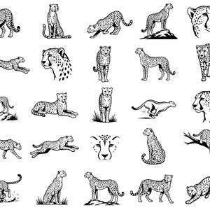 Puede incluir: Una colección de ilustraciones en blanco y negro que muestran guepardos en varias posturas, incluyendo corriendo, sentado, de pie y descansando. El conjunto incluye múltiples perfiles de cuerpo completo y retratos detallados de los felinos.