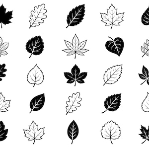 Höstlöv SVG-paket – 25 unika höstlövikoner, ren svart konturclipart, fet linjekonst, vit bakgrund, Cricut-silhuett