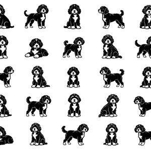 Cockapoo Dog SVG Icons Bundle – 25 Unique Black Outline Puppy Designs, Bold Line Art, White Background, Cricut, Silhouette, Clipart