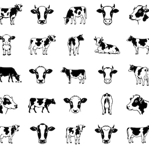 May include: A collection of twenty-five black and white vector illustrations of cows in various poses, including standing, grazing, lying down, and head-only portraits, all rendered in a clean, high-contrast graphic style on a white background.