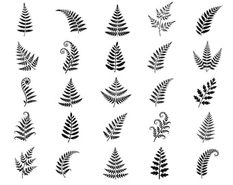 Paquete de iconos SVG de hojas de helecho: 25 diseños botánicos únicos de hojas, imágenes prediseñadas con contornos definidos, arte lineal minimalista, fondo blanco, Cricut Silhouette.