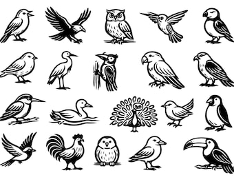Paquete de iconos SVG de aves: 16 archivos únicos de corte con contorno negro, líneas en negrita y fondo blanco para Cricut y Silhouette.