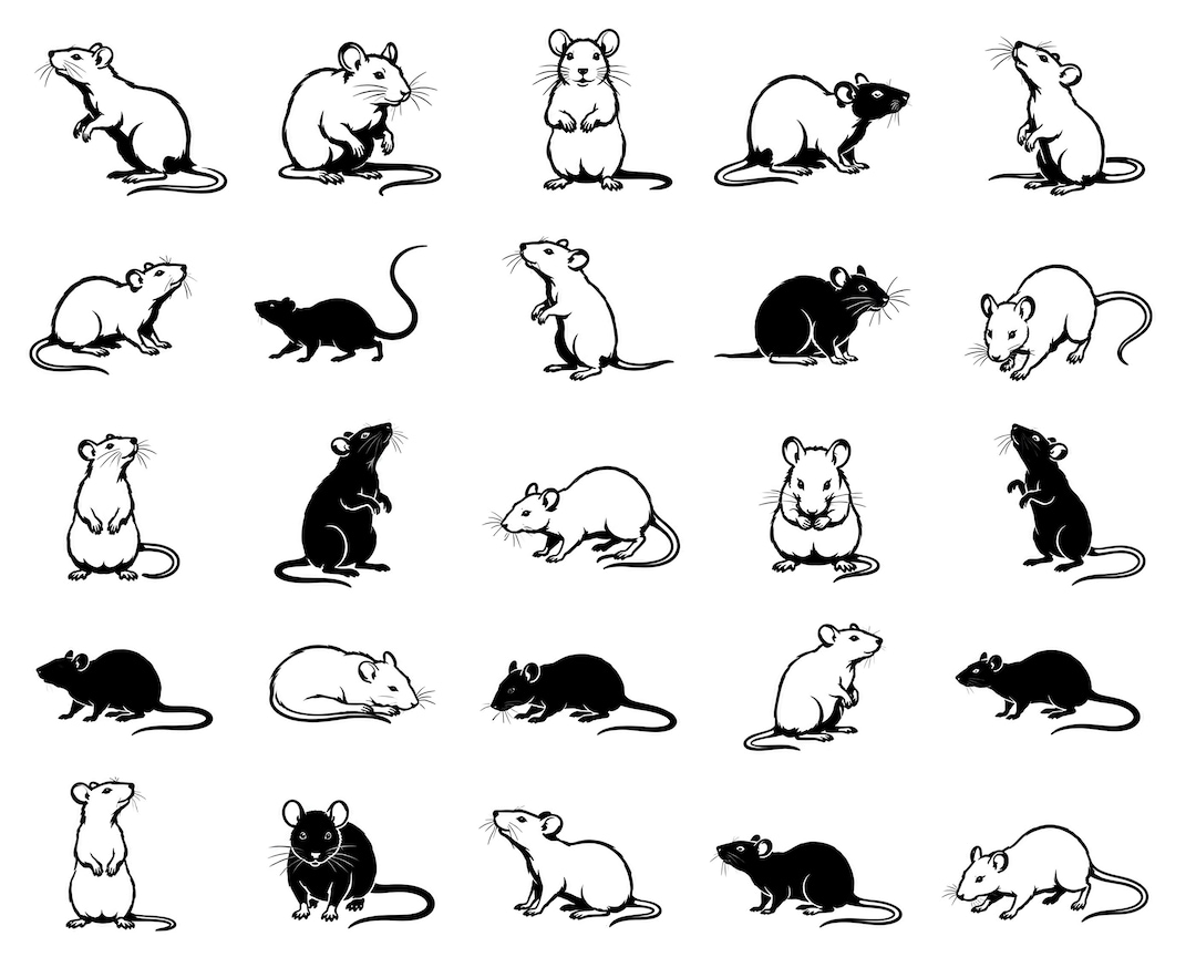 Rat SVG Bundle - 25 Premium Rodent Outline Icons, Bold Black Line Art ...