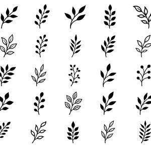 May include: A collection of twenty-five distinct black and white botanical illustrations arranged in a grid. Each icon depicts a unique sprig, branch, or stem featuring various leaf shapes, silhouettes, and berry-like clusters in a simple graphic style.