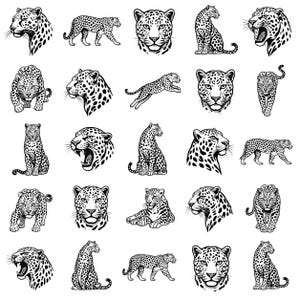 Puede incluir: Colección de ilustraciones de leopardos en blanco y negro, en diversas poses. Las imágenes incluyen vistas completas, retratos y leopardos en movimiento, con manchas y rasgos faciales detallados. Ideal para proyectos de diseño gráfico.