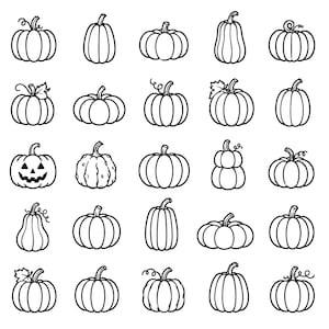 Peut inclure: Une collection de vingt-cinq illustrations au trait noir et blanc de citrouilles disposées en une grille de cinq par cinq. L'ensemble présente diverses formes, tailles et styles de tiges, dont une citrouille d'Halloween avec un visage sculpté.