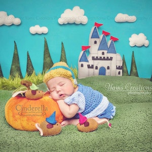 DIGITAL CROCHET PATTERN: Cinderella Wig Newborn-12 month Sizes