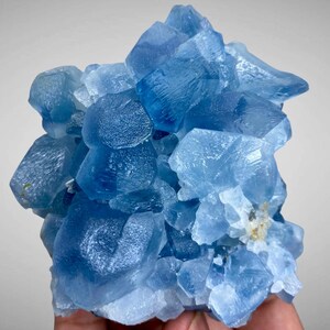 May include: A cluster of light blue fluorite crystals. The crystals have a cubic structure and varying shades of blue, from pale to deep. The mineral specimen is on a neutral background.