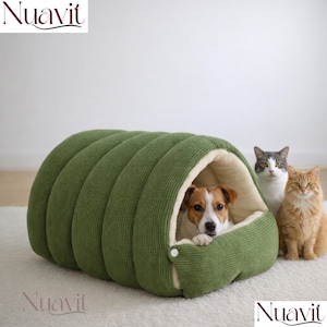 Puede incluir: Una cama verde de pana para mascotas con cierre de botón, que alberga a un perro. Dos gatos se sientan junto a la cama. La cama tiene un interior suave de color crema. La marca "Nuavit" es visible.