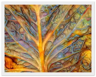 Matte Paper Wooden Framed Print, cabbage, leaf, vegetable 11x14″