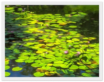 Lilies, wall art for home decor, Framed Print, 11x14″