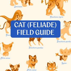 May include: A cream-colored poster titled CAT (FELIADE) FIELD GUIDE in a blue rectangle. It features various stylized orange and brown cat-like creatures, each labeled with scientific names such as Smilodon, Panthera tigris, and Felis catus.