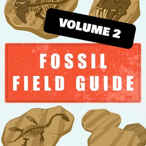 Fossil Field Guide VOLUME 2 Binder Inserts Printable PDF | 13-Page Bird Field Guide (39 Cards + 6 Extras) | Instant Digital Download