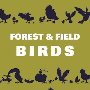 May include: An olive green poster featuring dark purple silhouettes of various birds arranged in horizontal rows. The text FOREST & FIELD BIRDS is printed in bold white capital letters across the centre of the design, separating the bird rows.