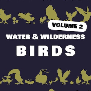 Può includere: Una copertina di libro viola scuro con sagome dorate di vari uccelli disposte in file orizzontali. Il testo recita VOLUME 2, WATER & WILDERNESS e BIRDS in grassetto bianco. Il design include diverse forme di uccelli di varie dimensioni.