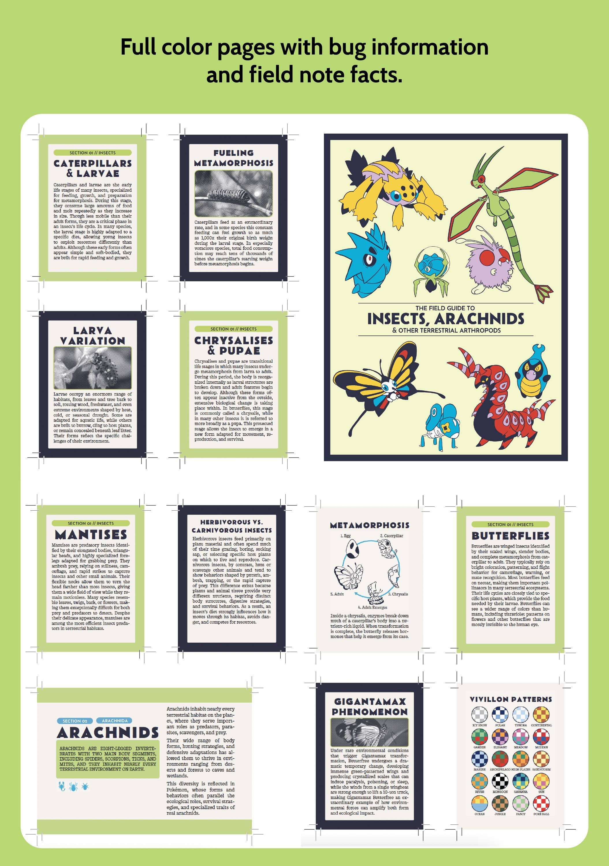 Bugs Field Guide Printable Binder Inserts | 59 Cards + Inside Cover ...