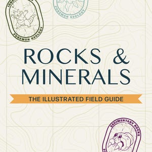 May include: A book cover titled ROCKS & MINERALS THE ILLUSTRATED FIELD GUIDE with a light background featuring topographic lines. It displays four circular badges with illustrations of creatures and text including IGNEOUS ROCKS, POKEMON GEOLOGY, and SEDIMENTARY ROCKS.