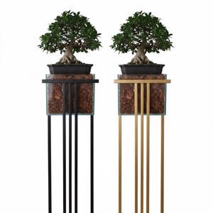 Könnte beinhalten: Zwei Bonsai-Bäume in schwarzen rechteckigen Töpfen, jeweils auf einem Glasbehälter mit Holzspänen. Die Behälter stehen auf hohen, schlanken Ständern. Ein Ständer ist schwarz, der andere goldfarben.