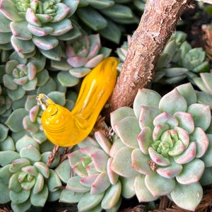 May include: A vibrant yellow glass bird figurine perched among green and pink succulents. The bird has a detailed design and is positioned near a brown tree branch, creating a naturalistic scene. The succulents have a rosette shape.