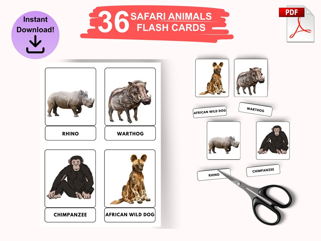 Safari Animals Flash Cards Printable | Animal Flashcards for Kids ...