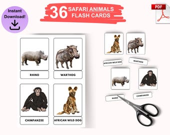 Schede didattiche stampabili sugli animali del safari / Schede didattiche sugli animali per bambini / Apprendimento prescolare e istruzione parentale