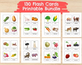 Pacchetto Mega Flashcards per la scuola materna, flashcard per bambini, apprendimento a casa, carte Montessori. Download digitale.