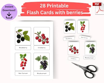 Schede didattiche stampabili sulle bacche per bambini in età prescolare, set di 28 schede didattiche per vocabolario, cibo e istruzione parentale