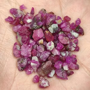 May include: A collection of raw ruby gemstones in varying shades of pink and red. The rough-cut stones have a natural, unpolished appearance, with some showing white and gray inclusions. The gemstones are displayed in a hand, showcasing their irregular shapes and textures.