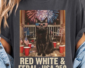 Retro Patriotic Cat Shirt, Patriotic Black Cat Tee, Funny July 4th Cat Shirt, USA 250 Shirt, Fourth of July Cat Lover Gift