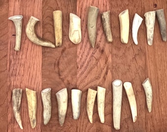 20 antler tip