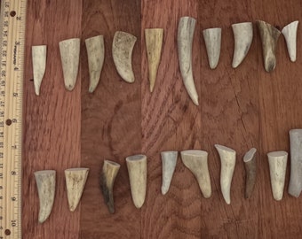 20 antler tip