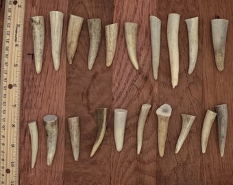 20 antler tip