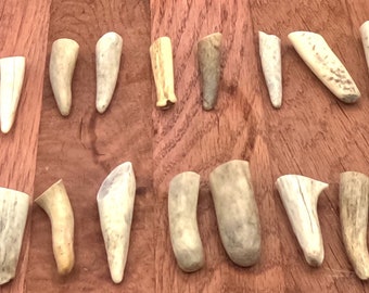 20 antler tip