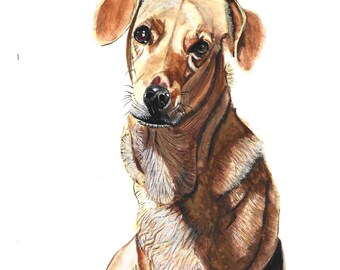 Custom Watercolor Pet Portrait, Hand-Painted Dog Commission, Cat Memorial Gift, Animal Illustration
