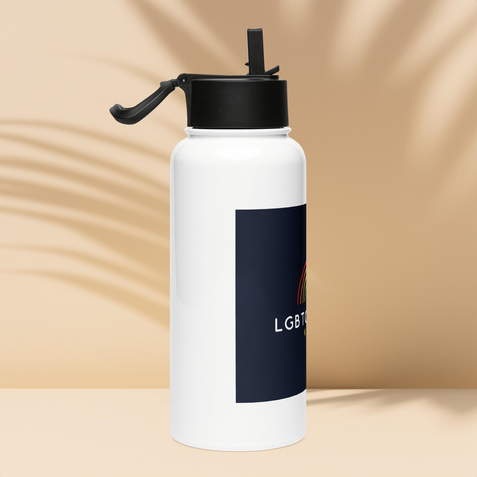 Stainless Steel Water Bottle