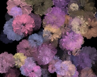 Download free brushes online from Misshfr with a promo code; site//missh.fr. More Procreate Brushes to decorate Brushes