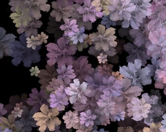 Download free brushes online from Misshfr with a promo code; site//missh.fr. More Procreate Brushes to decorate Brushes