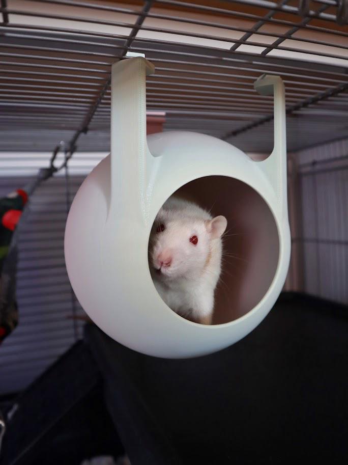 Sputnik – Hanging Rat House – Two‑tone Gradient Color Hideout for Rats ...
