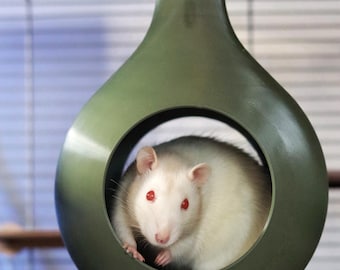 Esconderijo moderno Sputnik para ratos – Casinha para pequenos animais de estimação, abrigo para roedores